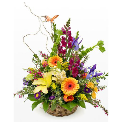 Speedy Recovery Bouquet Eufloria Designs